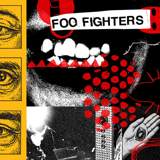 Foo Fighters - Your Favorite Toy CD