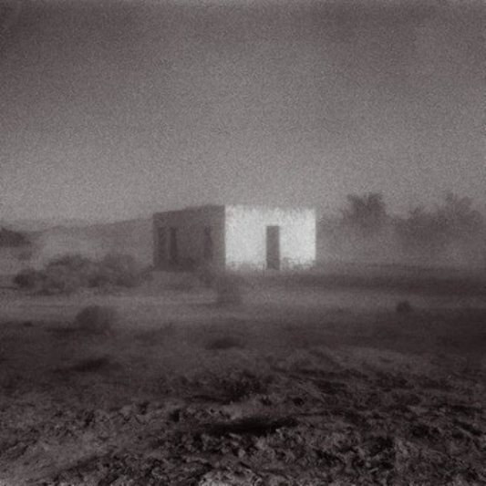 Godspeed You! Black Emperor - Allelujah! Don't Bend! Ascend! LP vinyl record