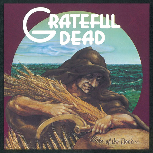 Grateful Dead - Wake of the Flood LP vinyl record