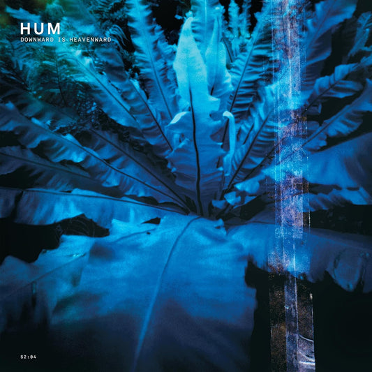 Hum - Downward is Heavenward LP vinyl record