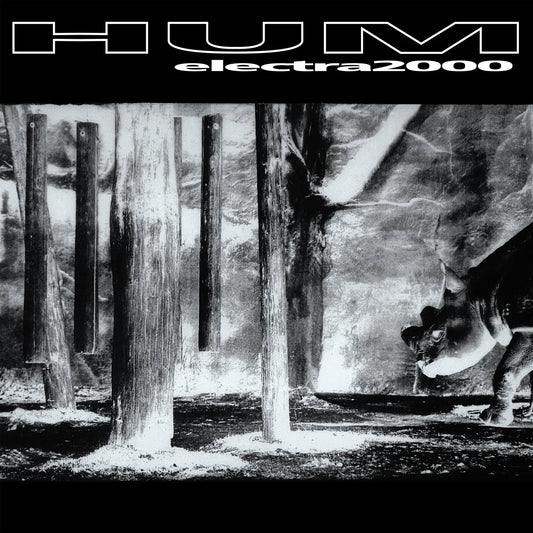 Hum - Electra 2000 LP vinyl record