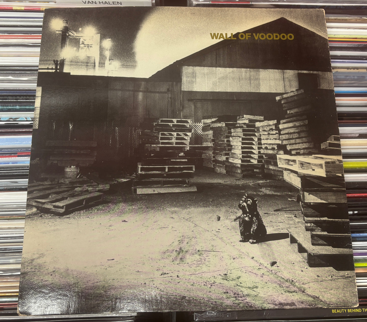 USED: Wall of Voodoo - Self-titled 12" EP record (1987 reissue)