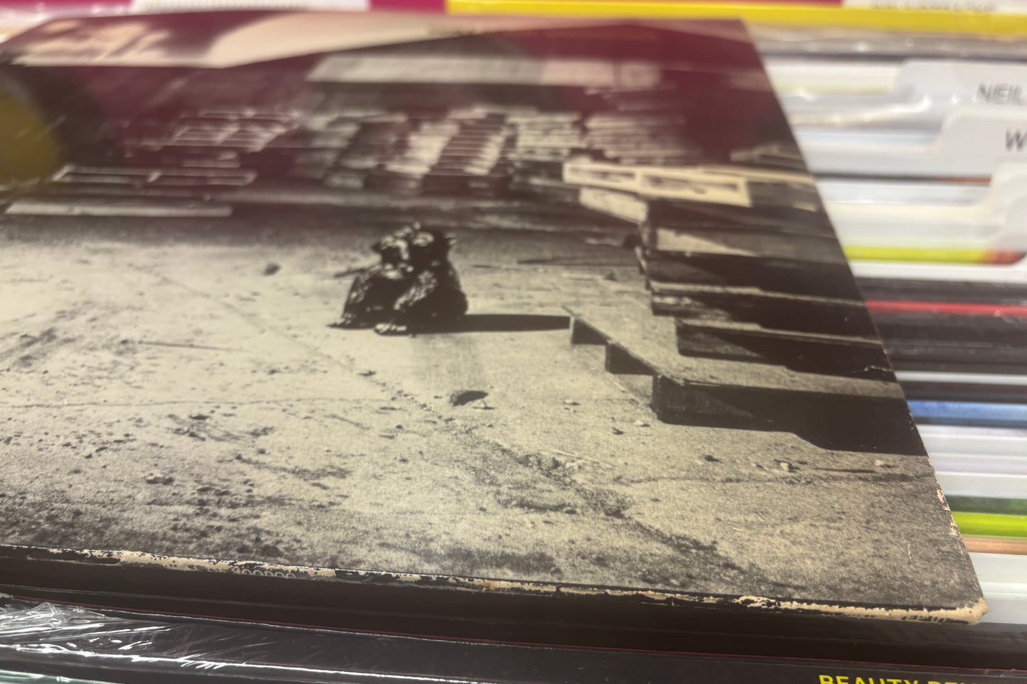 USED: Wall of Voodoo - Self-titled 12" EP record (1987 reissue)