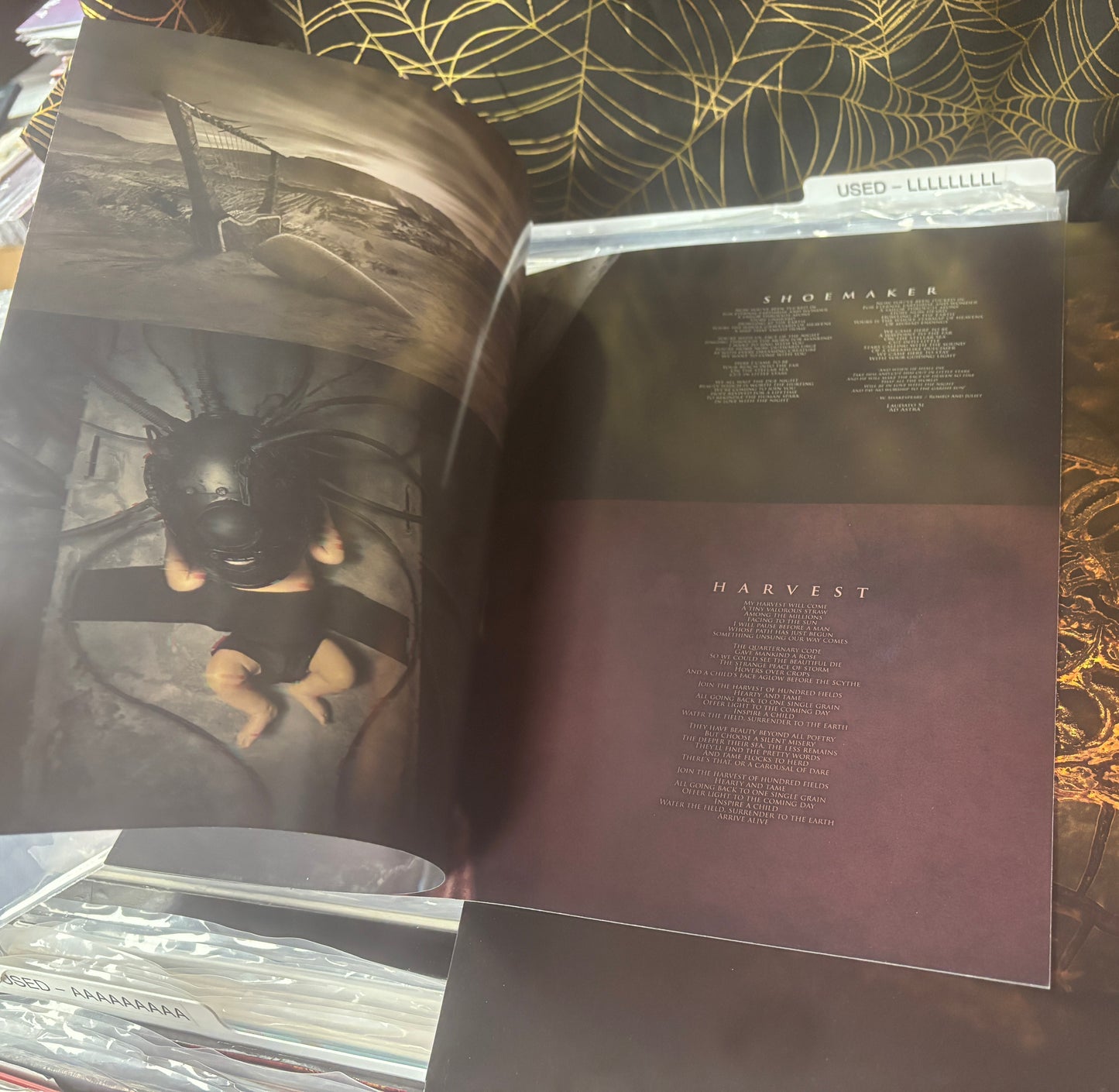 USED: Nightwish - Human. :||: Nature. LP (bronze vinyl)