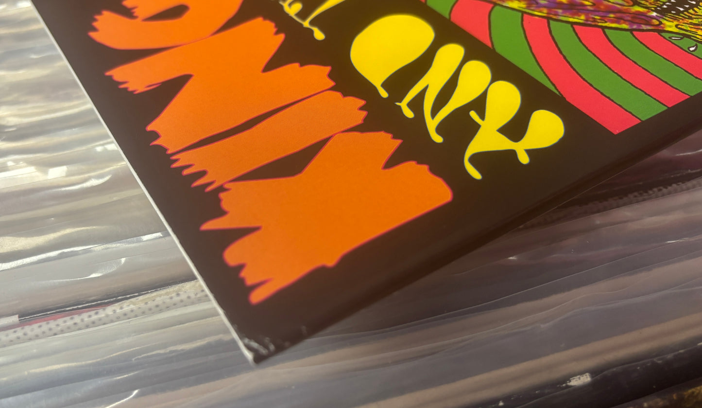 USED: King Gizzard and the Lizard Wizard - Willoughby's Beach LP record (Swamp Edition - brown marble vinyl)