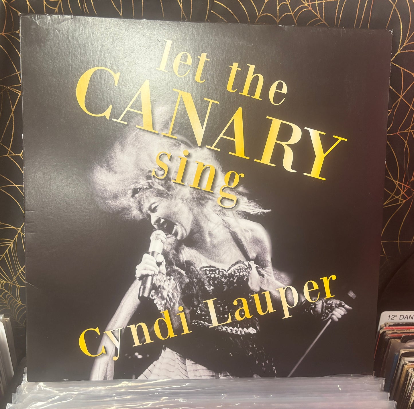 USED: Cyndi Lauper - Let the Canary Sing LP vinyl record