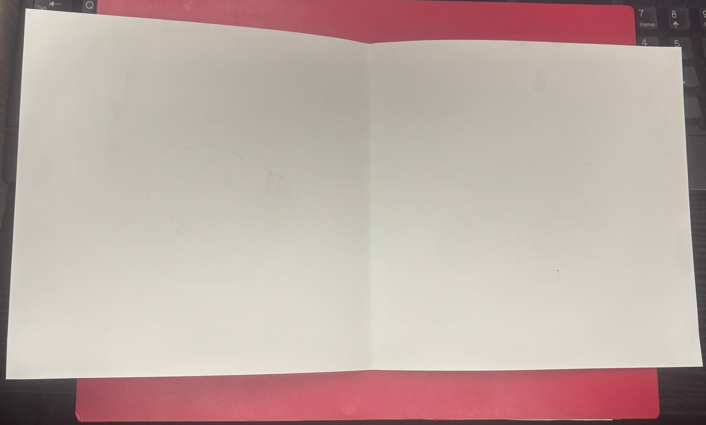 USED: The Mountain Goats - Songs for Peter Hughes 7" vinyl record (1995)