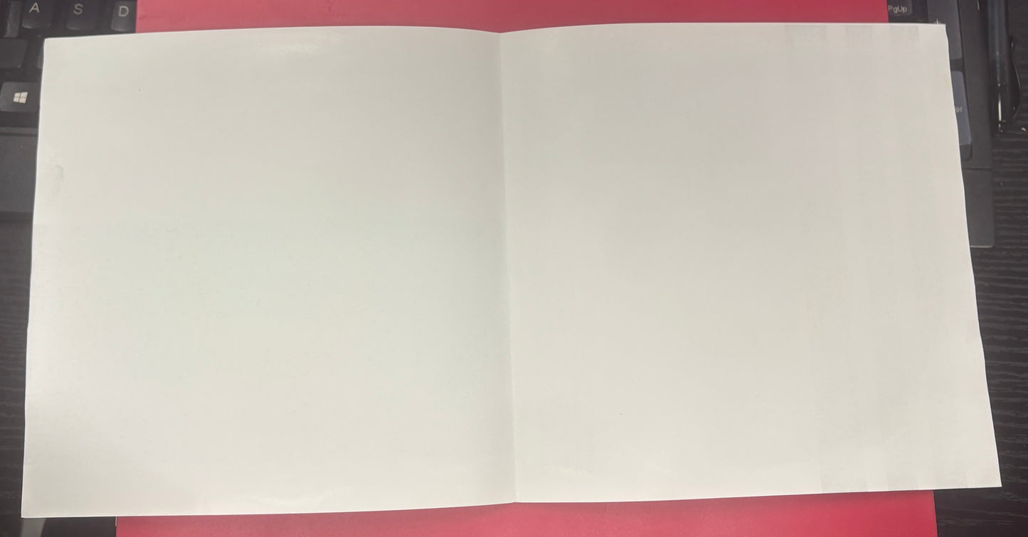 USED: The Extra Glenns - Infidelity 7" single vinyl record (1993)