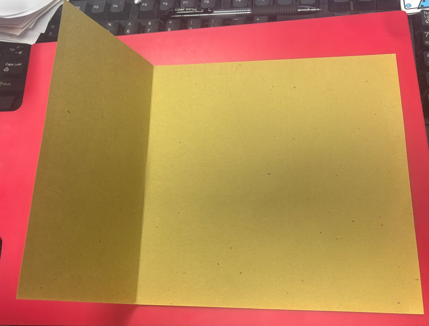 USED: The Mountain Goats / John Vanderslice - Bedside Recordings Vol. 1.2 vinyl 7" record (2003)