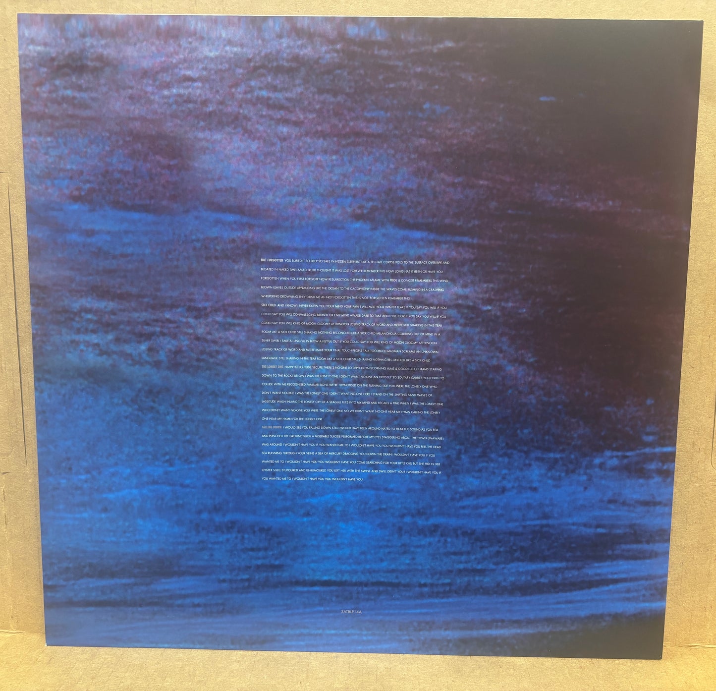 USED: Siouxsie and the Banshees - The Rapture 2xLP 180g vinyl record