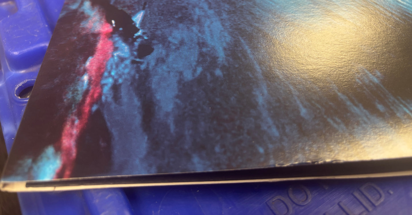 USED: Siouxsie and the Banshees - The Rapture 2xLP 180g vinyl record