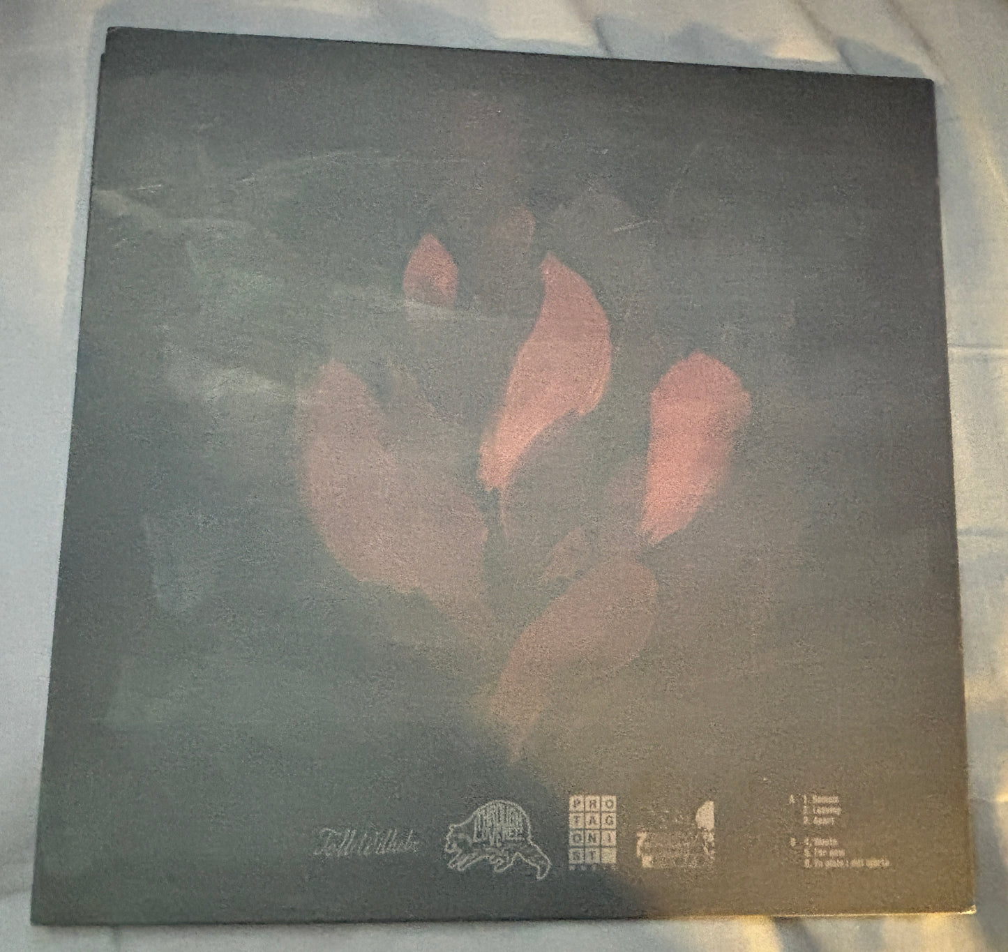 USED: Sore Eyelids - For Now LP vinyl record (2014 pressing on red vinyl limited to 200)