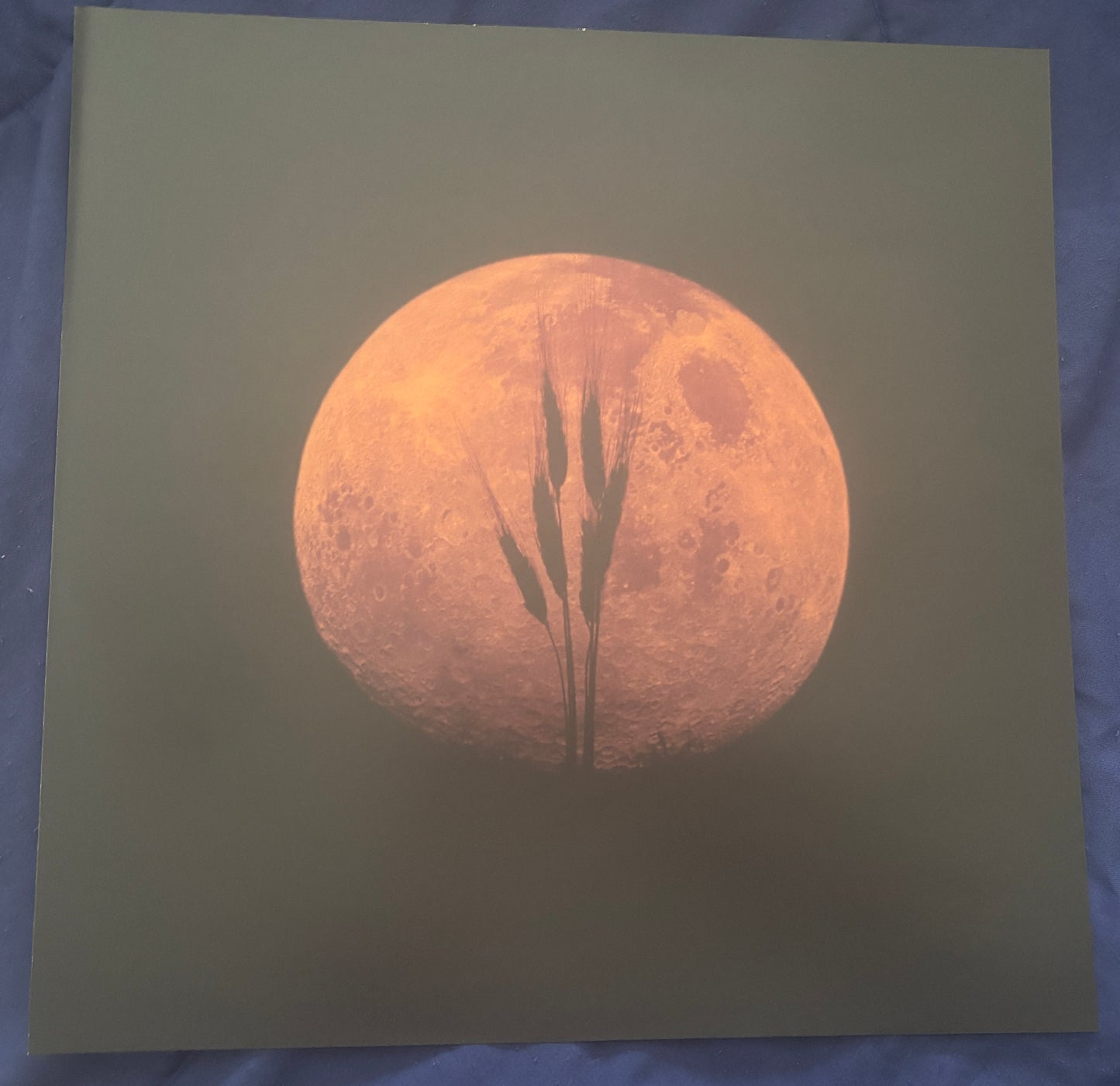 USED: Neil Young - Harvest Moon 2xLP vinyl record (2017 reissue w/ etching)