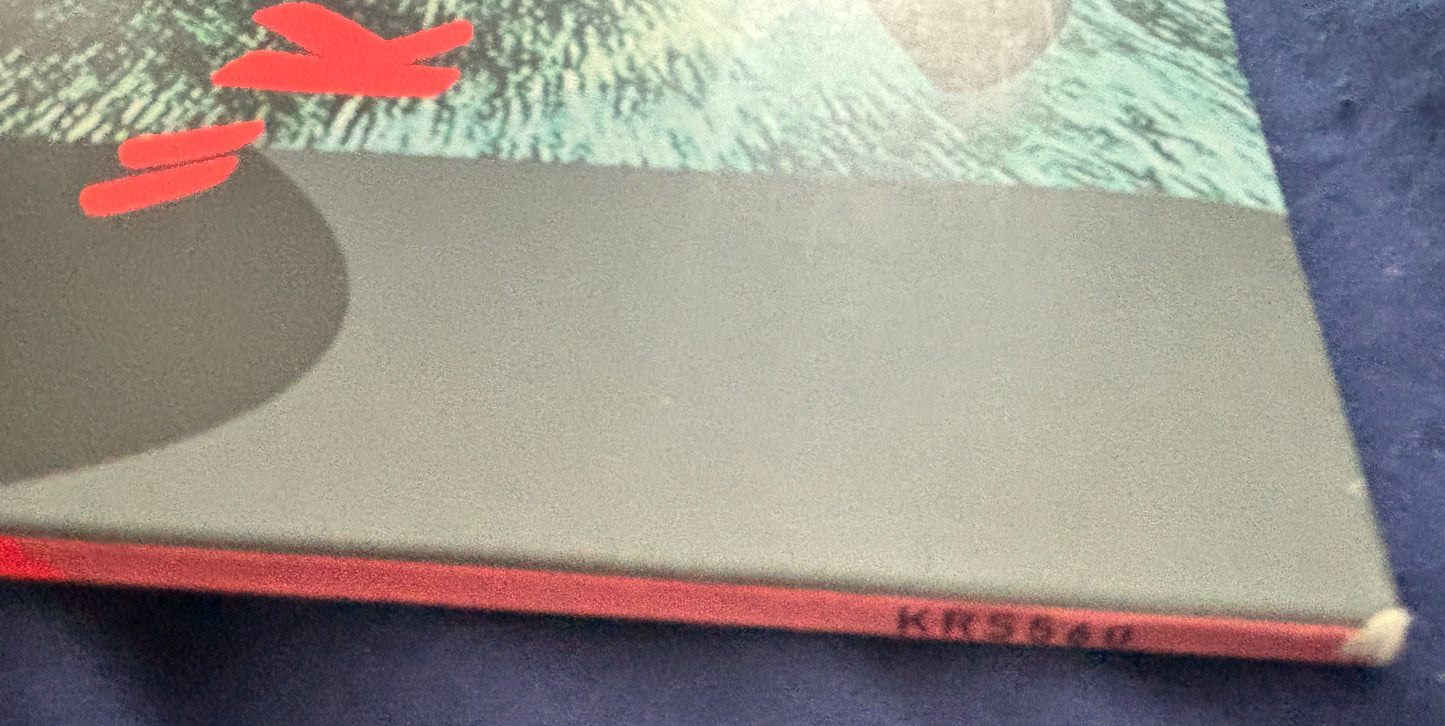 USED: Corin Tucker Band - Kill My Blues LP vinyl record