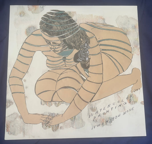 USED: Watercolor Paintings - When You Move LP vinyl record (2013 Plan-It-X records)