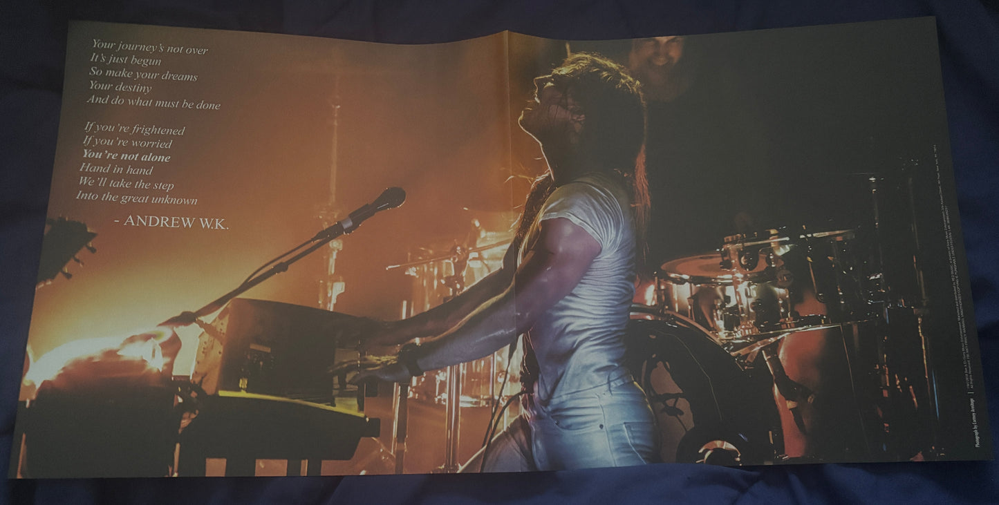 USED: Andrew W.K. - You're Not Alone 2xLP green and blue 180g vinyl record (2018 pressing)
