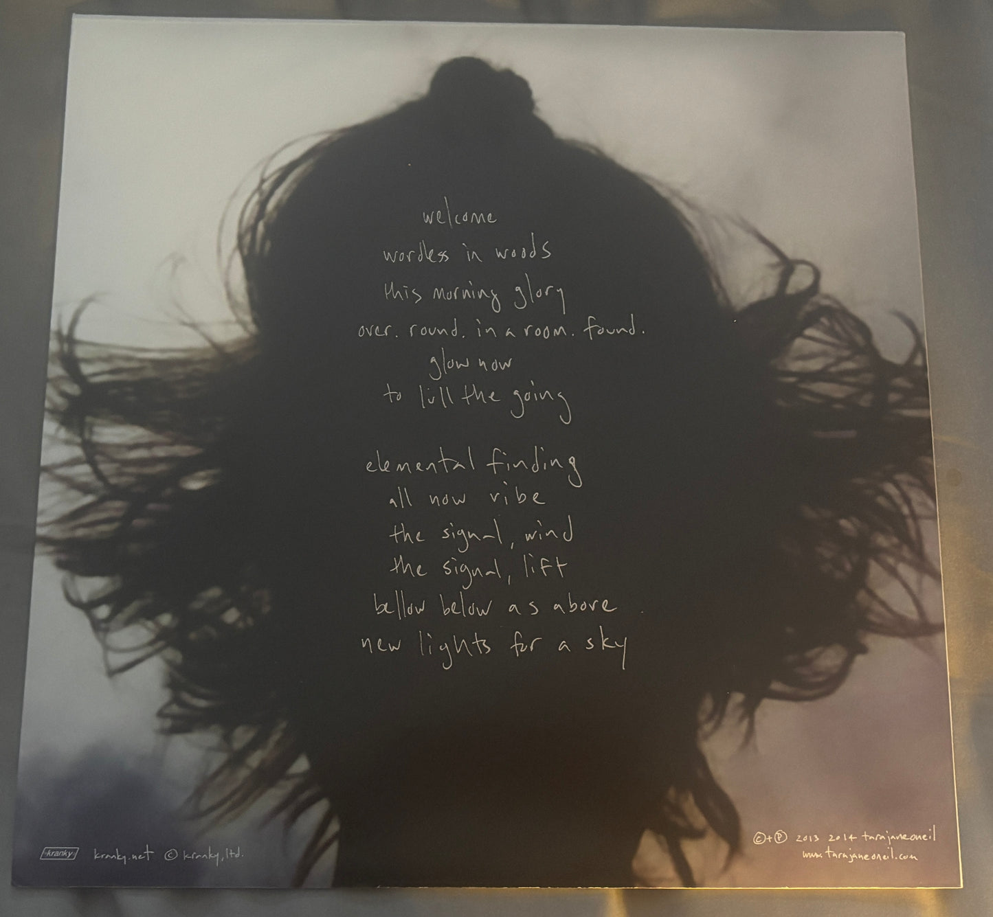 USED: Tara Jane O'Neil - Where Shine New Lights LP vinyl record (2014 Kranky)