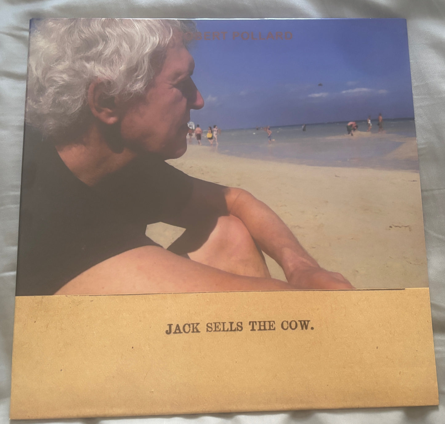 USED: Robert Pollard - Jack Sells the Cow LP vinyl record (2012 Pressing)
