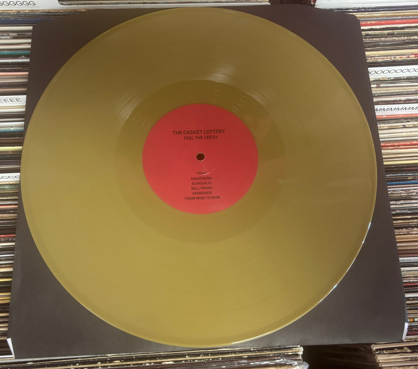 USED: The Casket Lottery - Feel the Teeth LP "Bell Penny Gold" vinyl record (Limited to 350)