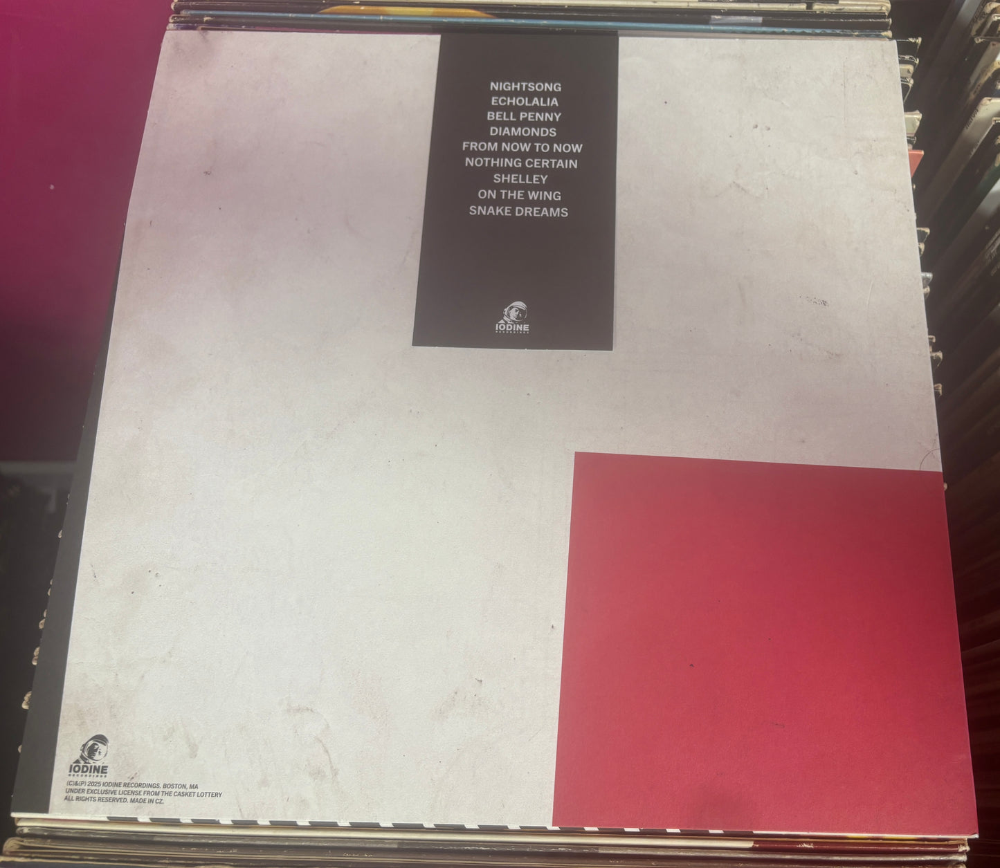 USED: The Casket Lottery - Feel the Teeth LP "Bell Penny Gold" vinyl record (Limited to 350)