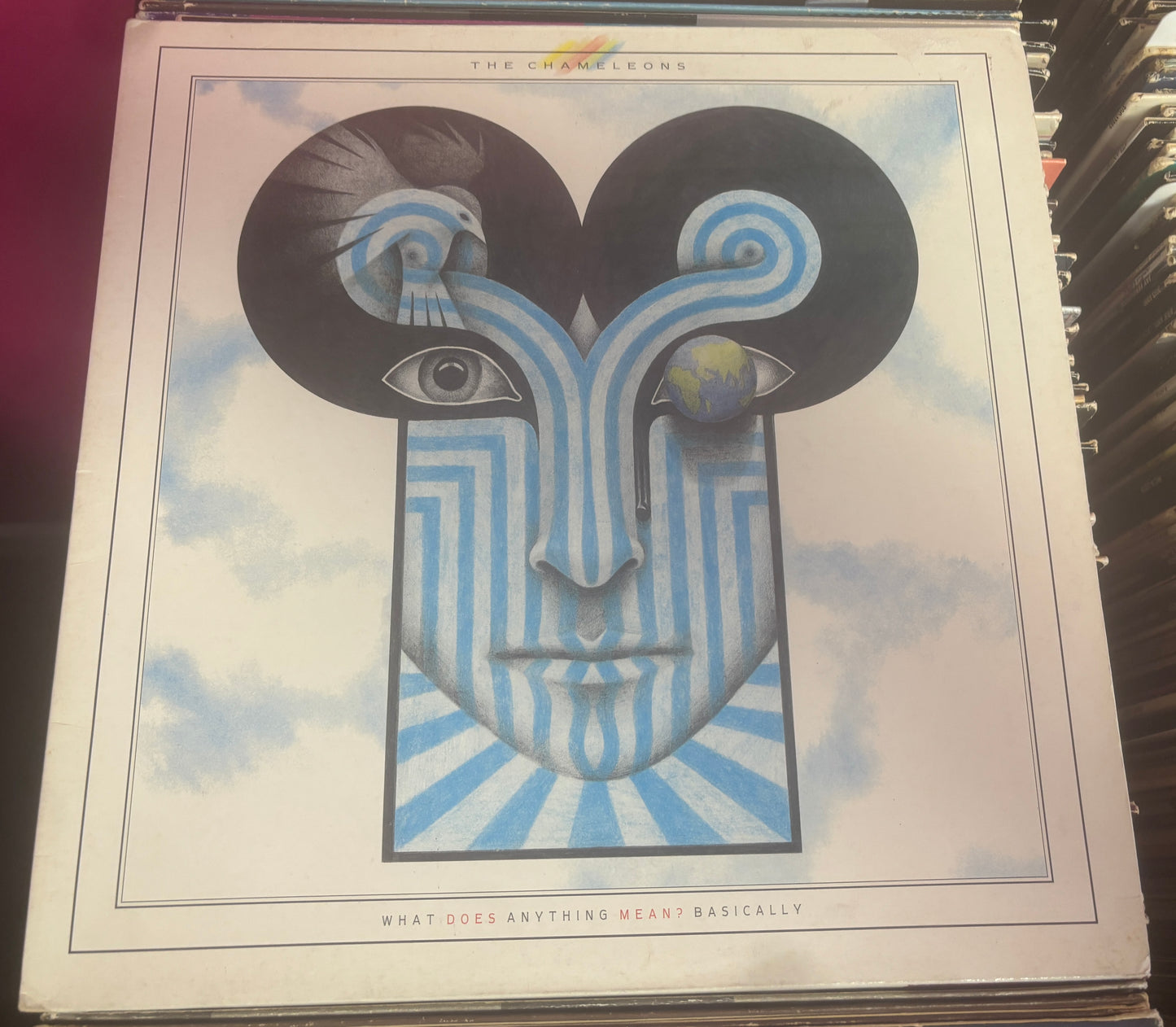 USED: The Chameleons - What Does Anything Mean? Basically LP vinyl record (original 1985 UK Pressing)