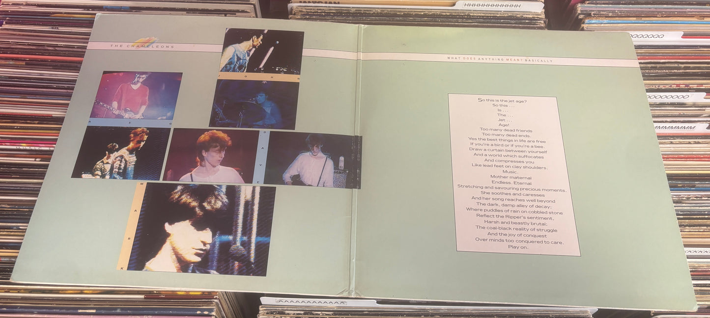 USED: The Chameleons - What Does Anything Mean? Basically LP vinyl record (original 1985 UK Pressing)