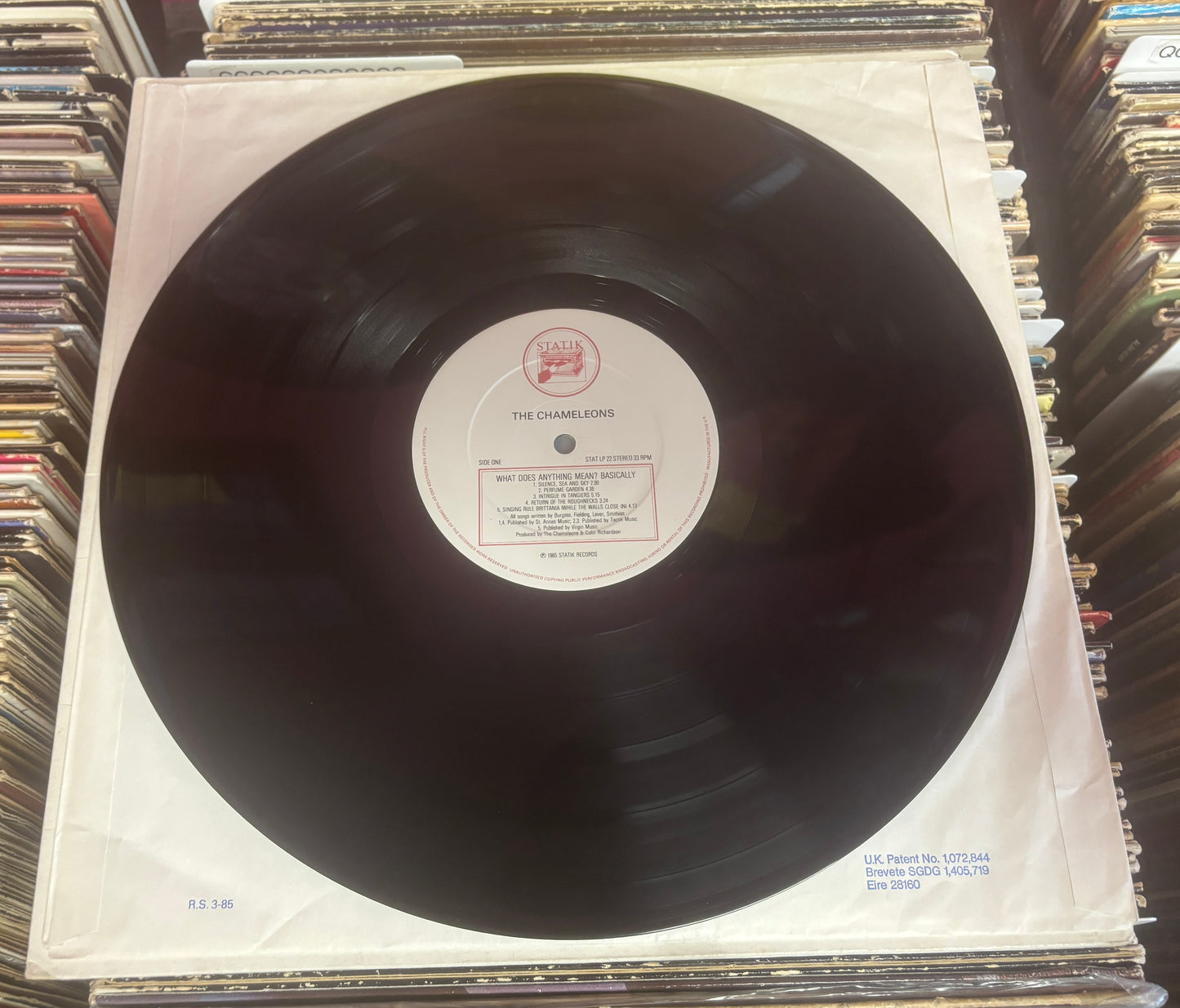 USED: The Chameleons - What Does Anything Mean? Basically LP vinyl record (original 1985 UK Pressing)