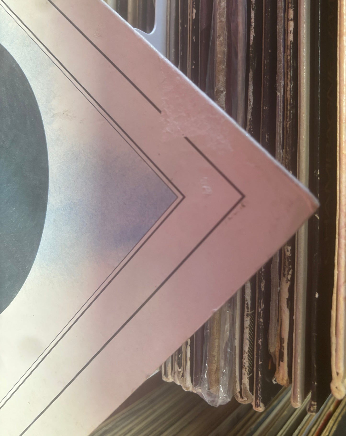 USED: The Chameleons - What Does Anything Mean? Basically LP vinyl record (original 1985 UK Pressing)