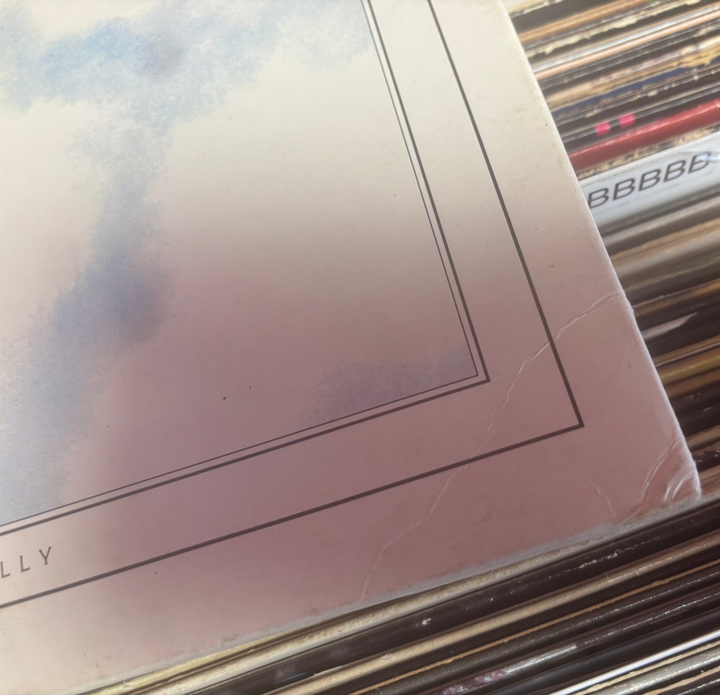 USED: The Chameleons - What Does Anything Mean? Basically LP vinyl record (original 1985 UK Pressing)