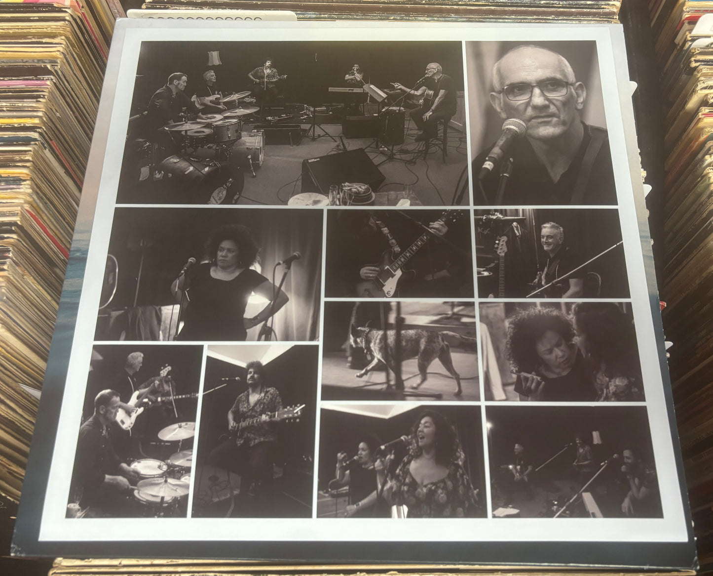 USED: Paul Kelly - Life is Fine LP vinyl record