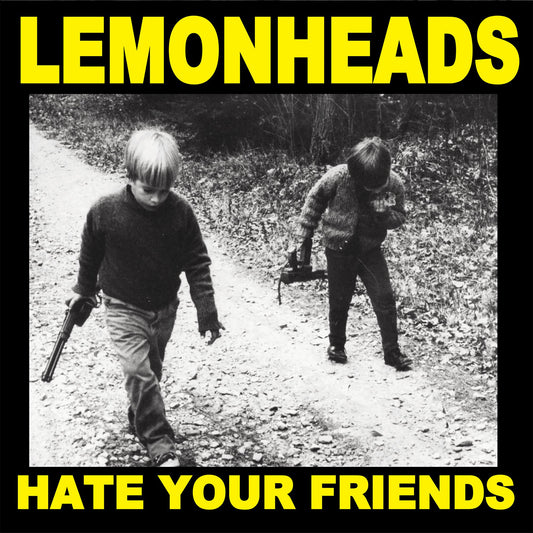 Lemonheads - Hate Your Friends LP vinyl record