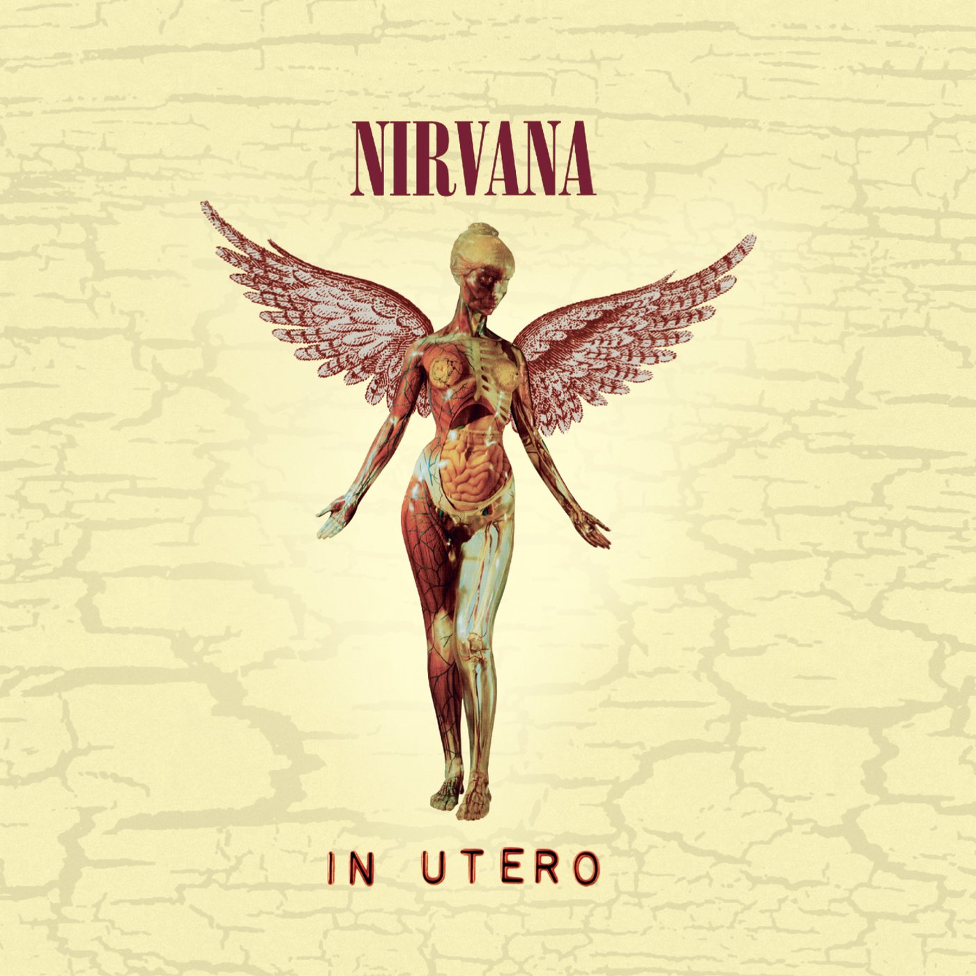 Nirvana - In Utero LP vinyl record