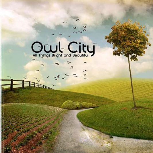 Owl City - All Things Bright and Beautiful LP vinyl record