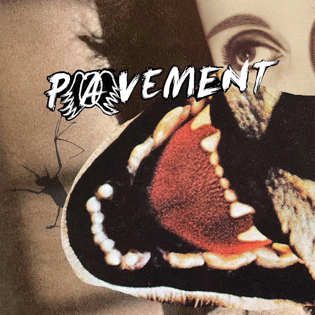 Pavement - Hecklers Choice: Big Gums & Heavy Lifters CD