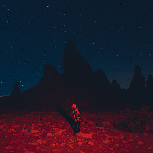 Phoebe Bridgers - Punisher CD