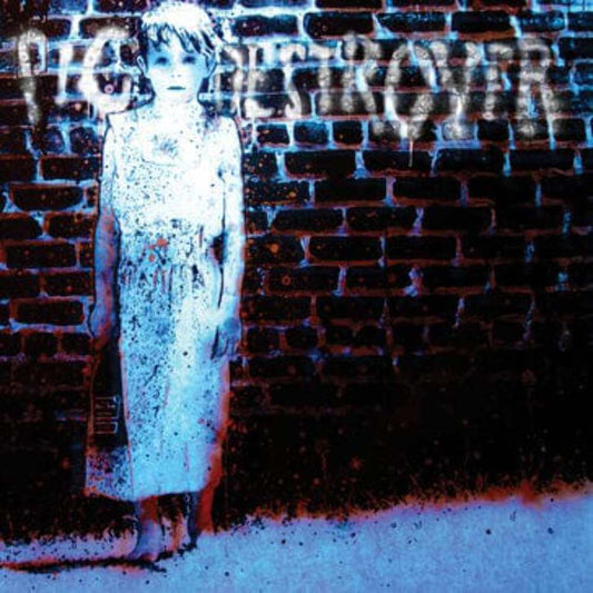 Pig Destroyer - Book Burner LP record (colored vinyl)