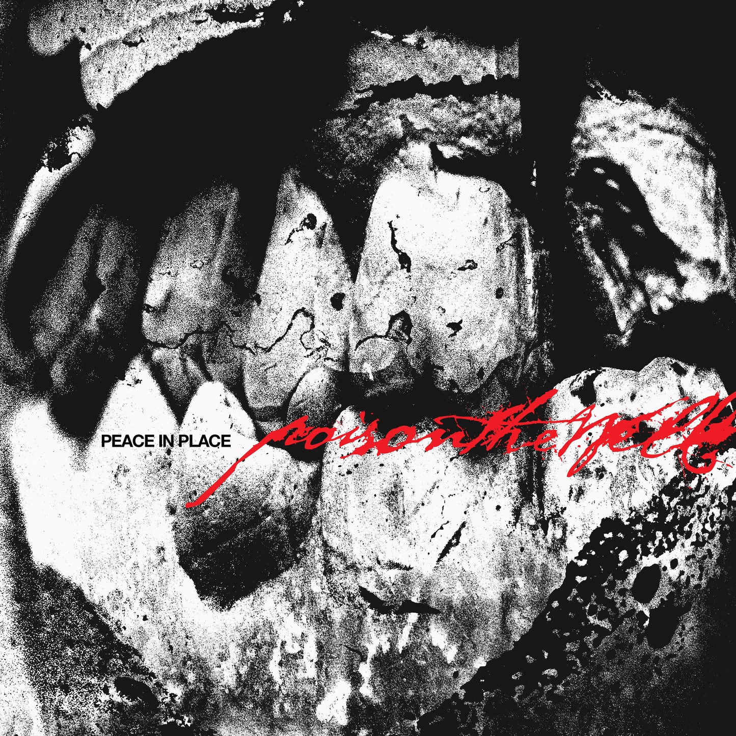 Poison The Well - Peace In Place LP record (clear vinyl)