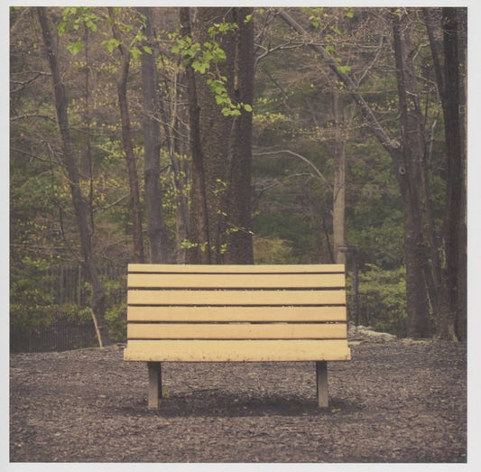 PREORDER (07/24/26): Streetlight Manifesto - The Hands That Thieve LP vinyl record