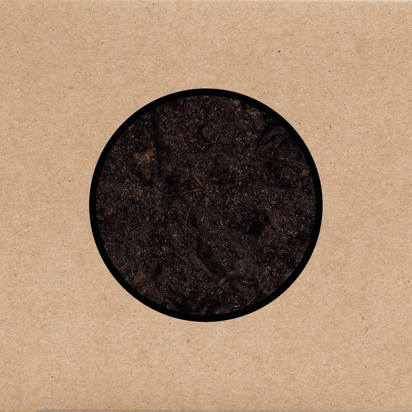 Swans - Birthing LP vinyl record