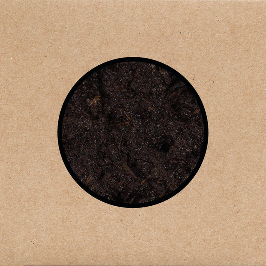 Swans - Birthing LP vinyl record