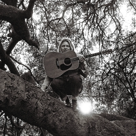 Ty Segall - Hello, Hi LP vinyl record
