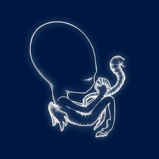 Sigur Ros - Agaetis Byrjun LP vinyl record