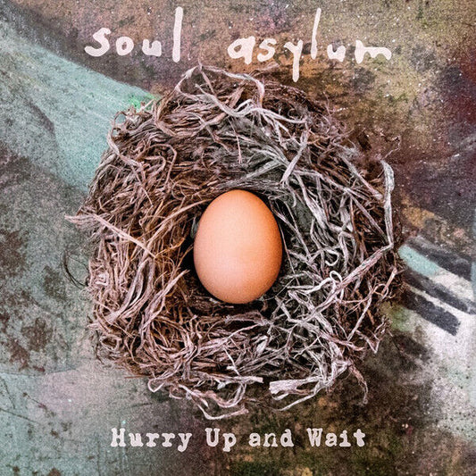 Soul Asylum - Hurry Up and Wait LP vinyl record